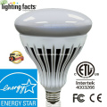 Energy Star Dimmable High Lumen LED R40 Light Bulb